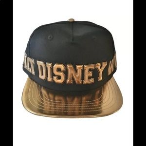 Disney World Bronze Hat